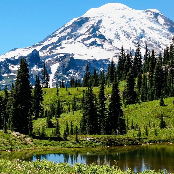 Meet your Posher, Nina - Picture 1 of 1